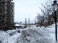 _DSF3359.JPG