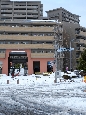 _DSF3363+.jpg