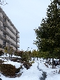 _DSF3372+.jpg
