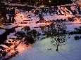 _DSF3411.JPG