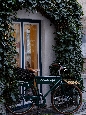 _DSF0876+.jpg
