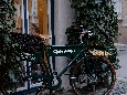 _DSF0877.JPG