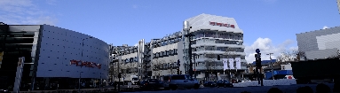 _DSF1296.JPG
