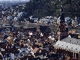 _DSF1364.JPG