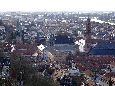 _DSF1367.JPG