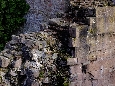 _DSF1374.JPG