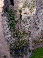 _DSF1386+.jpg