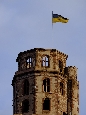 _DSF1408+.jpg