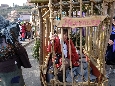 _DSF3955.JPG