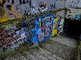 _DSF3812.JPG