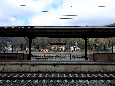 _DSF3832.JPG