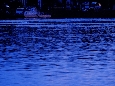 _DSF4047.JPG