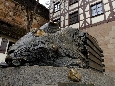 _DSF5146.JPG