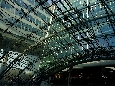 _DSF5177.JPG
