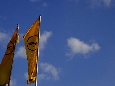 _DSF5181.JPG