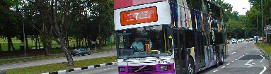 DSC01725.jpg