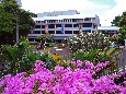 DSC01719.jpg